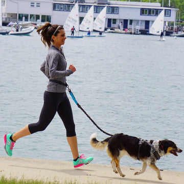 Adjustable Pet Leash