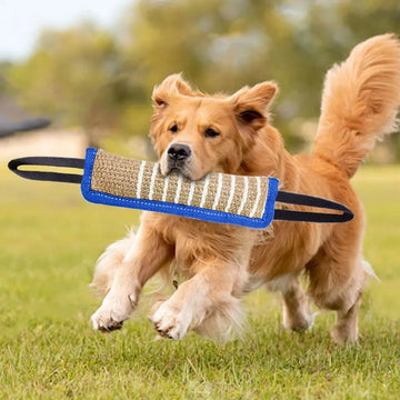 Dog Chew Stick